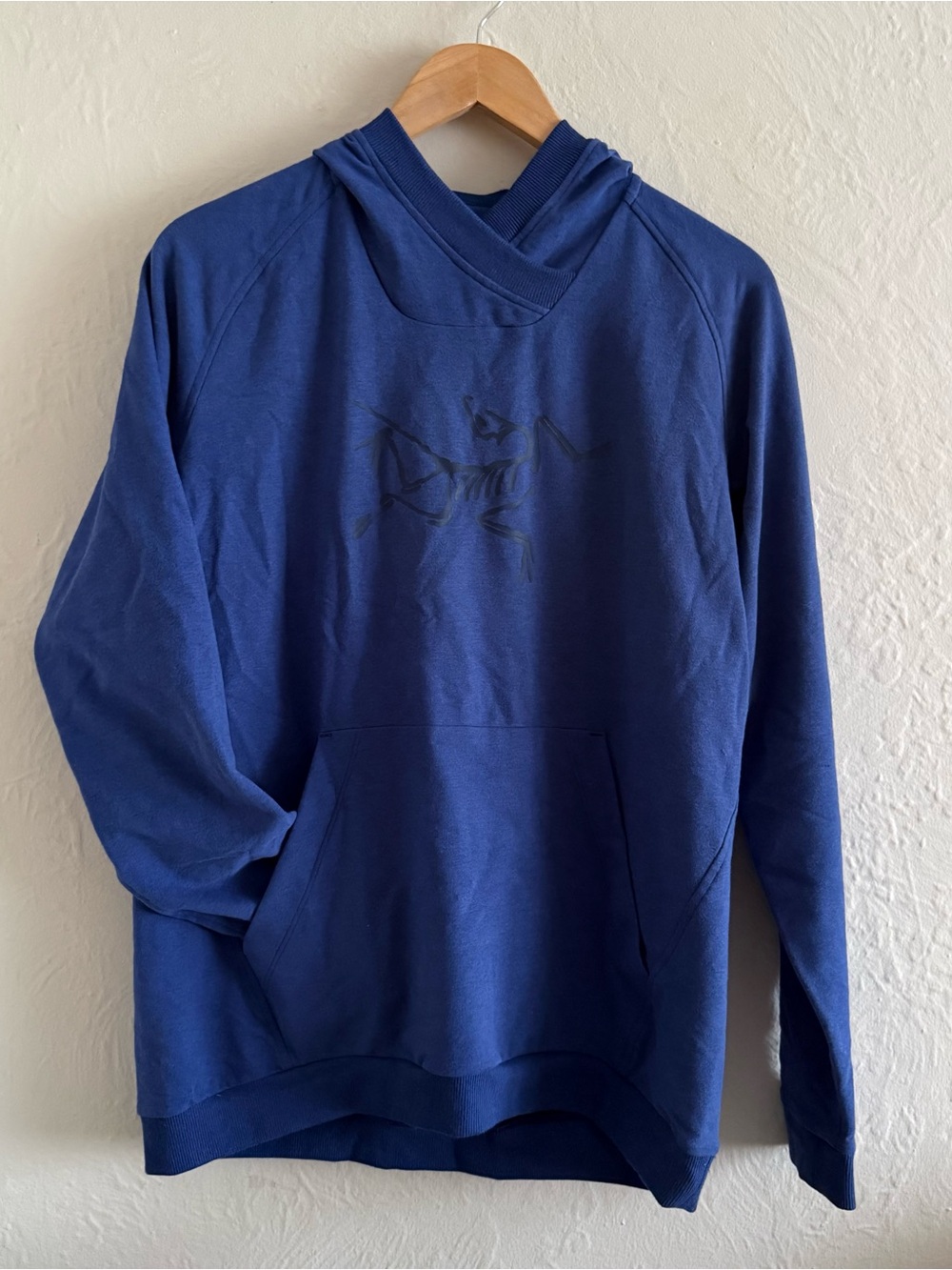Arc’teryx Blue Pullover Hoodie Sweatshirt Size L